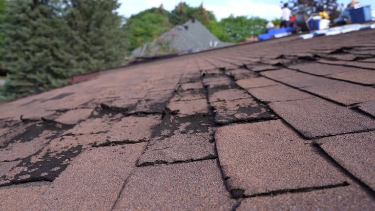 Best Roof Moss and Algae Removal  in Eslon, CA