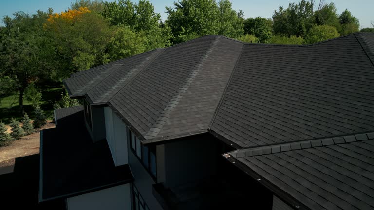 Best Solar Panel Roofing Installation  in Eslon, CA