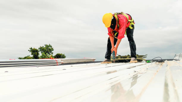 Best Roof Maintenance and Cleaning  in Eslon, CA