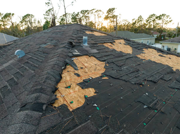 Best Slate Roofing  in Eslon, CA