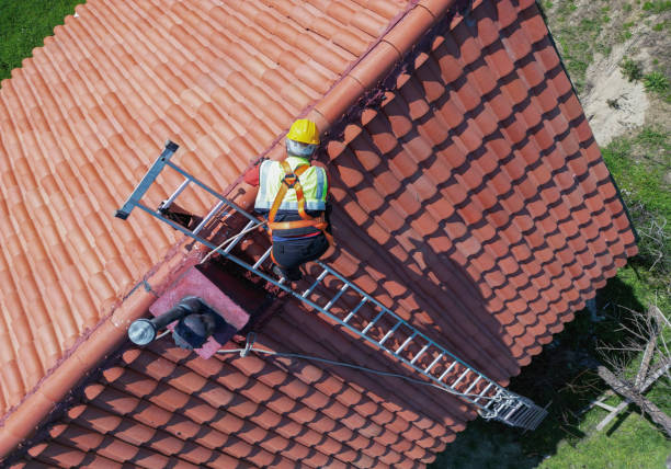 Best Gutter Installation and Repair  in Eslon, CA