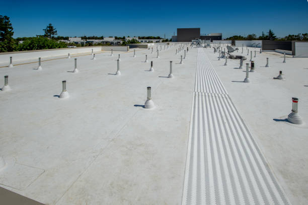 Best Roofing for New Construction  in Eslon, CA